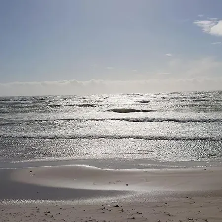 Skont Norsk Bjaelkehus Naer Strand *