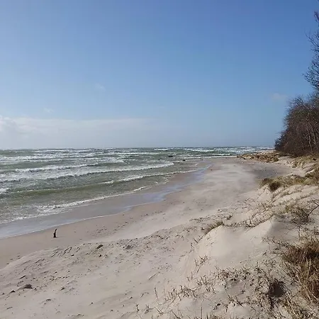 Skont Norsk Bjaelkehus Naer Strand Ferienhaus
